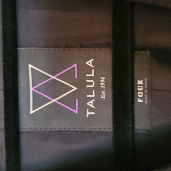 Talula (Aritzia) Blazer (size 4) - Picture 3 of 4